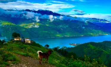 Tehri lake image